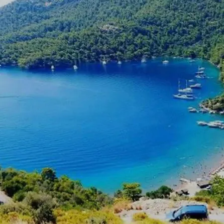 Bellavista Doga Evleri *
